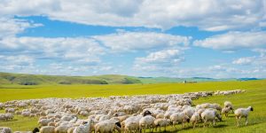 ?；访? decoding=